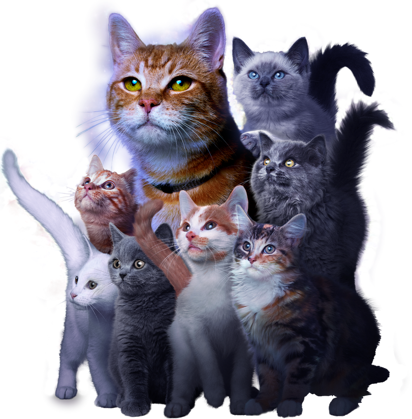 Goose and flerkin kittens