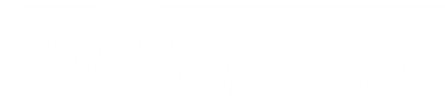 The Consultant logo